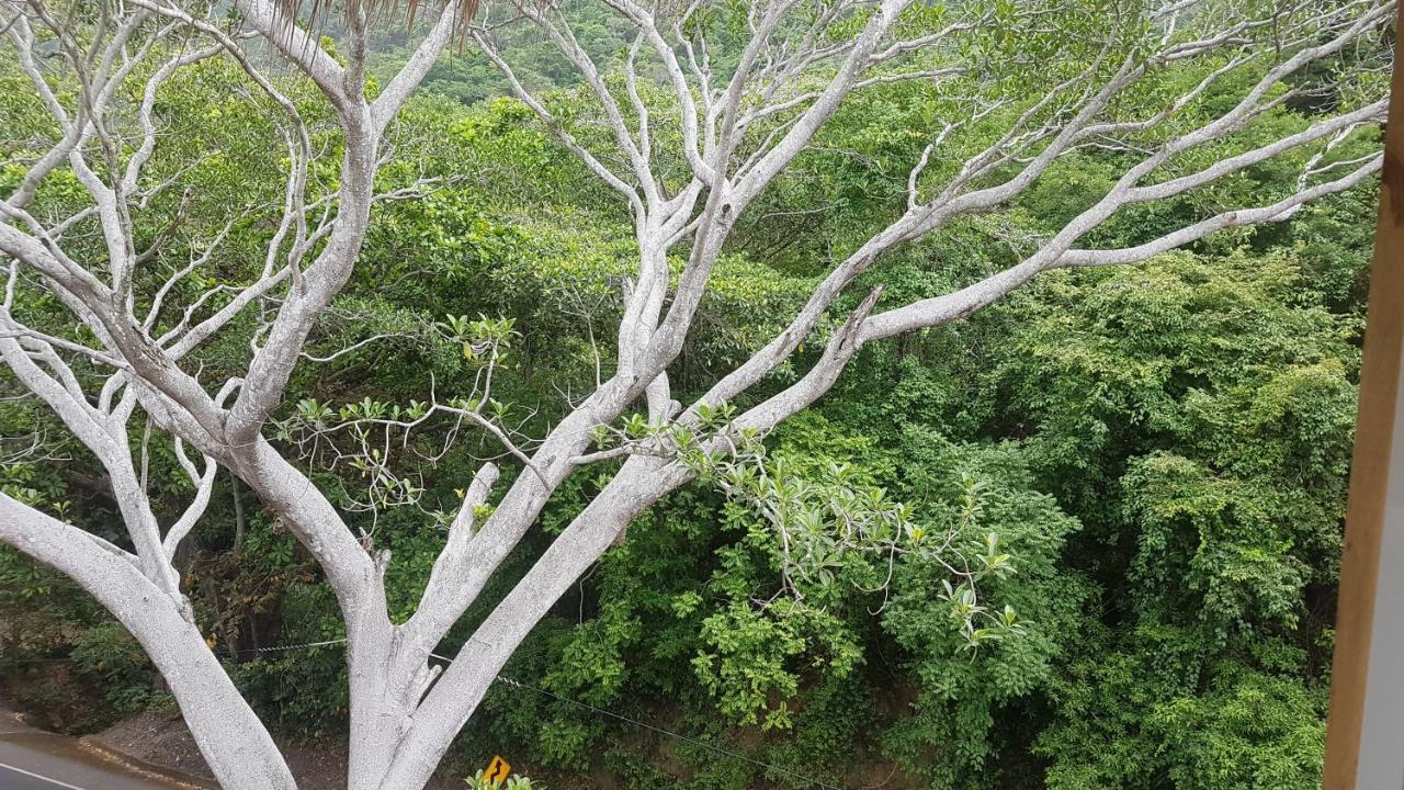 نزل الزينوفي La Perla Tayrona المظهر الخارجي الصورة