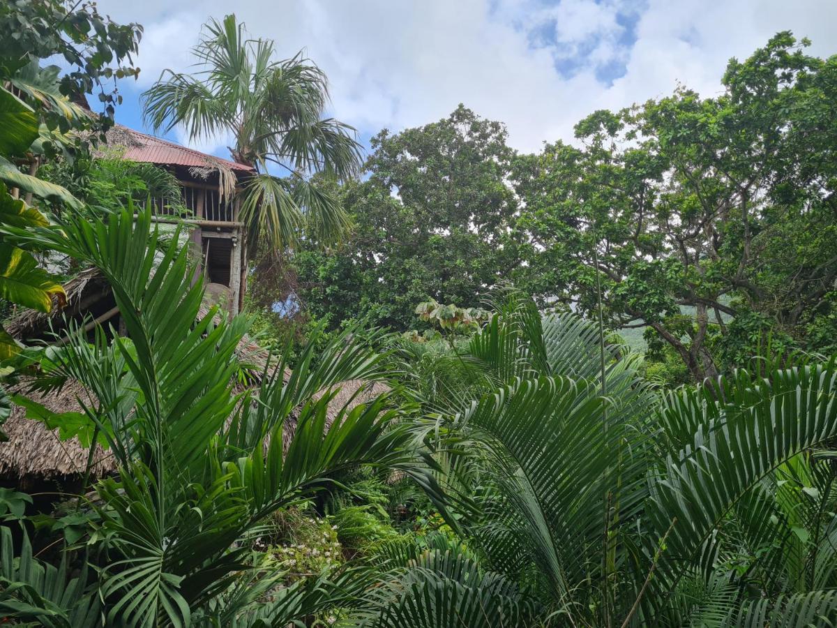 نزل الزينوفي La Perla Tayrona المظهر الخارجي الصورة